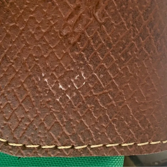 Longchamp Green and Brown Cosmetic Bag with Classic Design - Picture 3 of 9